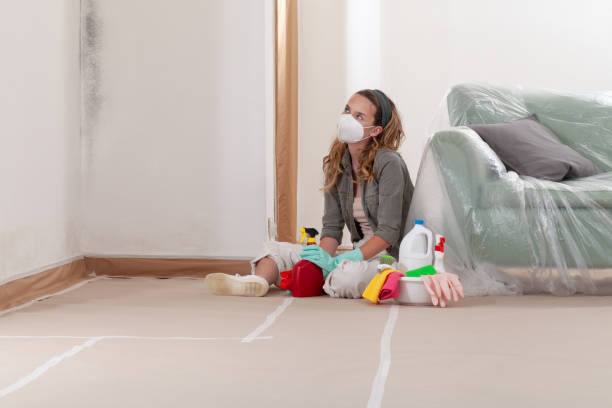 Reliable Mold Remediation contractor in Clinton, IL by WQB Mold Removal